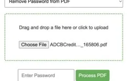 pdf password