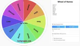 wheel of names spinner