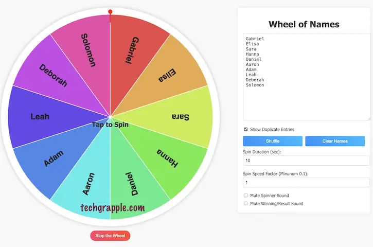 wheel of names spinner